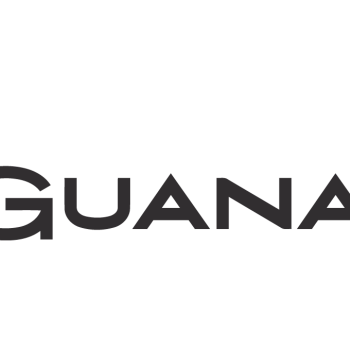 Las Iguanas logo